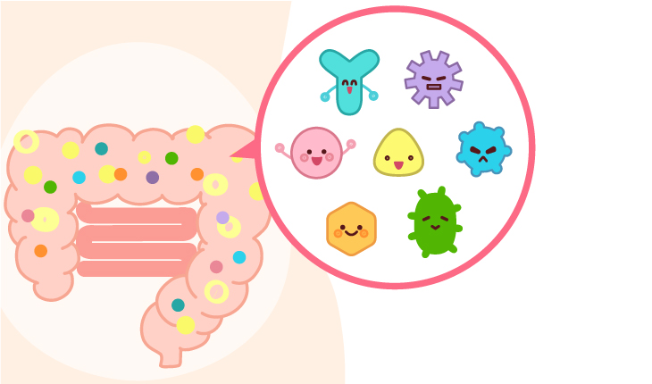 腸内フローラ