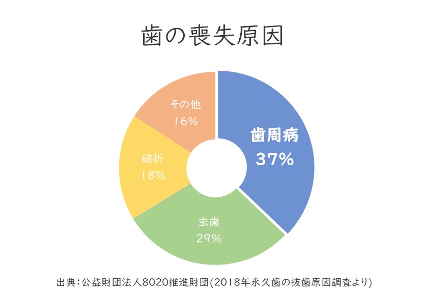 歯を失う原因